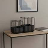 Set of Two Black Metal Wire Cage Square Pot Planters