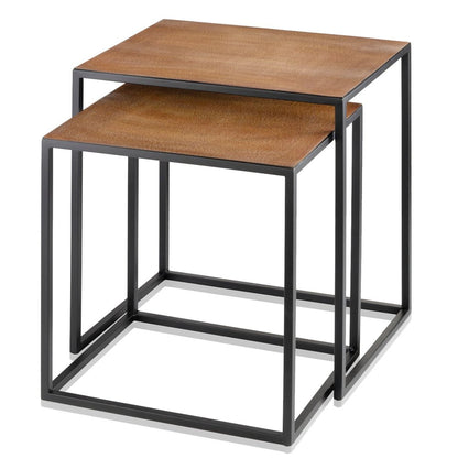 Set of Two Brown and Black Metal And Faux Snake Leather Nesting End Tables