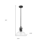 Matte Black Hanging Light with Glass Dome Shade