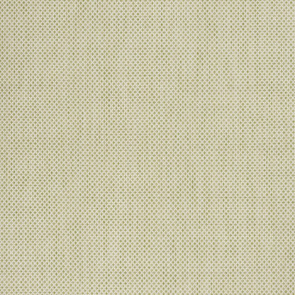 5' X 7' Green and Ivory Indoor Outdoor Area Rug