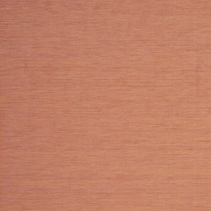 8' X 10' Terra Cotta Indoor Outdoor Area Rug