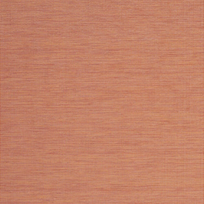 8' X 10' Terra Cotta Indoor Outdoor Area Rug