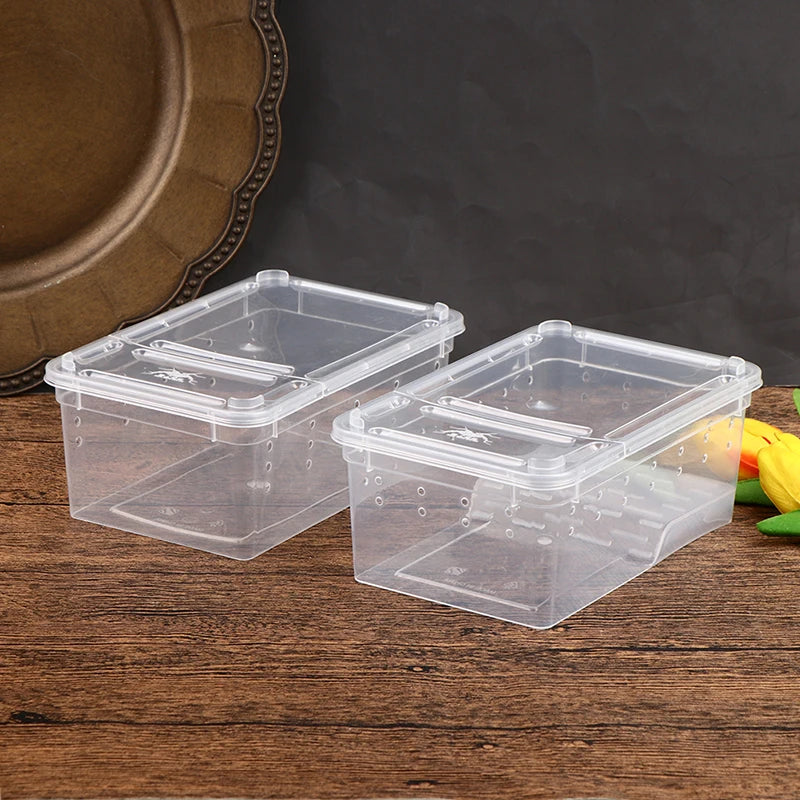 Transparent acrylic reptile tank with lid, ideal for breeding insects, spiders, tortoises, and lizards