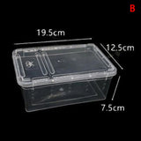 Transparent acrylic reptile tank with lid, ideal for breeding insects, spiders, tortoises, and lizards