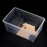 Transparent acrylic reptile tank with lid, ideal for breeding insects, spiders, tortoises, and lizards