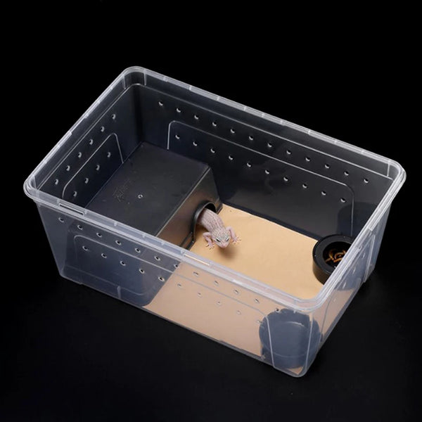 Transparent acrylic reptile tank with lid, ideal for breeding insects, spiders, tortoises, and lizards