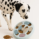 Interactive pet toy set: slow feeder & brain games to entertain and stimulate cats and dogs