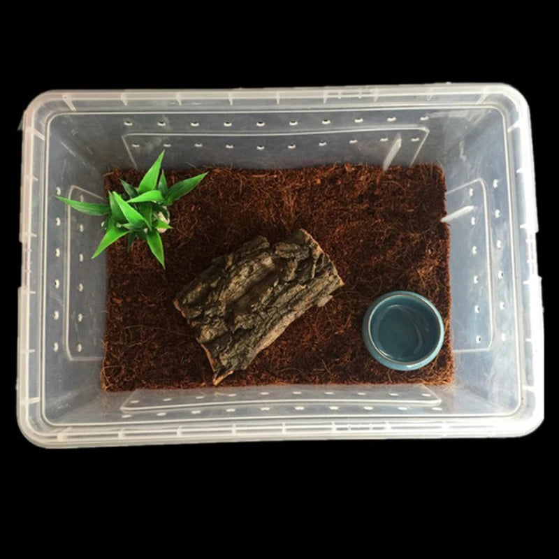 Transparent acrylic reptile tank with lid, ideal for breeding insects, spiders, tortoises, and lizards
