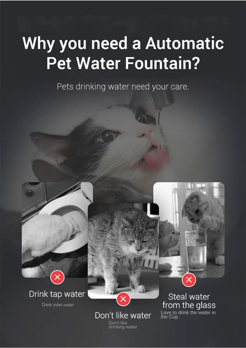 Automatic Pet Water Dispenser - Cat & Dog Drinking Fountain with Filter & Circulation System