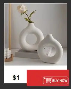 Nordic Flower Vase - Modern Home Decor for Bedroom, Garden, or Table, Stylish Room Ornament
