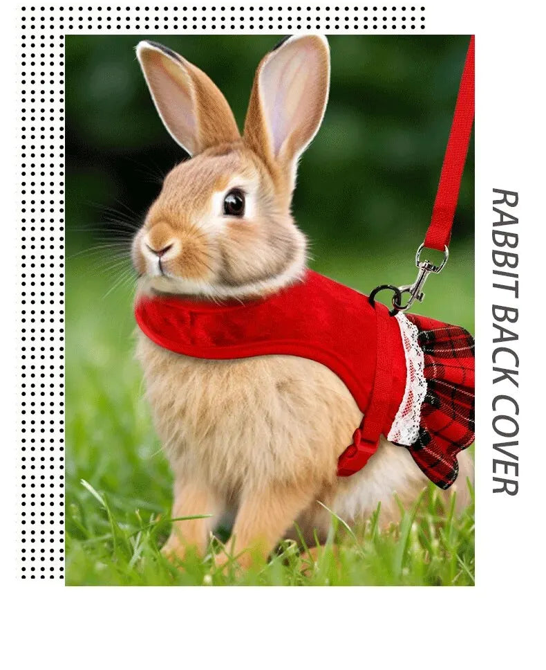 Gold Velvet Rabbit Costume - Festive Pet Outfit with Traction Rope for Formal Events