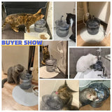 Automatic Pet Water Dispenser - Cat & Dog Drinking Fountain with Filter & Circulation System