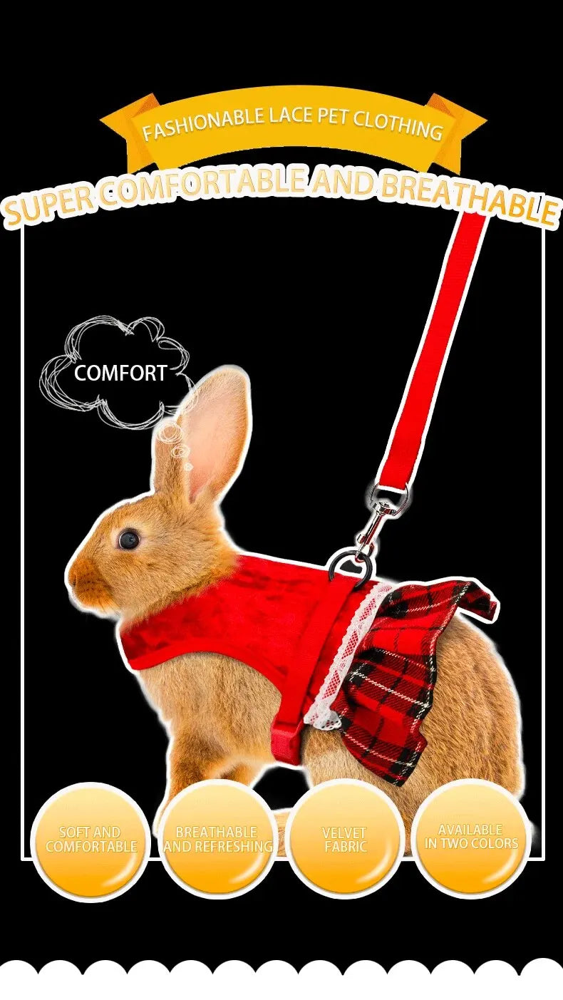 Gold Velvet Rabbit Costume - Festive Pet Outfit with Traction Rope for Formal Events