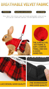 Gold Velvet Rabbit Costume - Festive Pet Outfit with Traction Rope for Formal Events