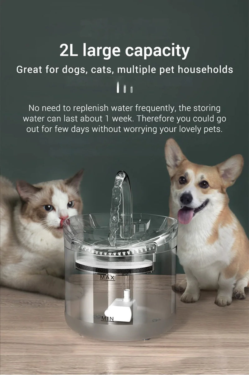 Automatic Pet Water Dispenser - Cat & Dog Drinking Fountain with Filter & Circulation System
