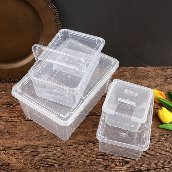 Transparent acrylic reptile tank with lid, ideal for breeding insects, spiders, tortoises, and lizards