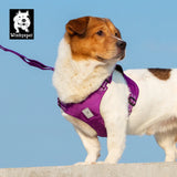 Winhyepet dog harness: lightweight chest strap for comfortable outdoor walking and travel