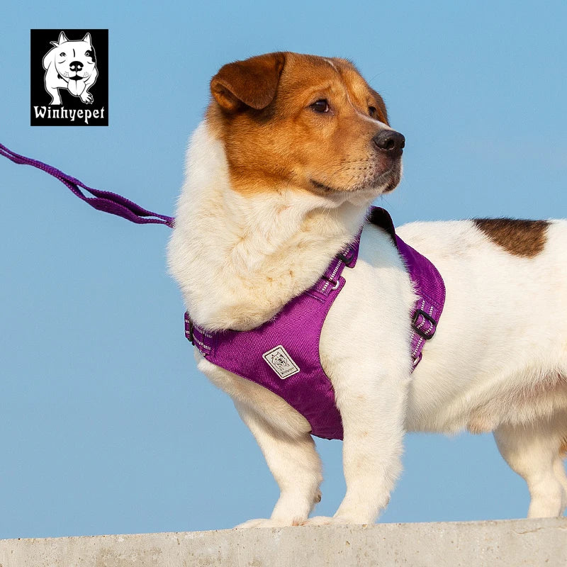 Winhyepet dog harness: lightweight chest strap for comfortable outdoor walking and travel