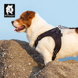 Winhyepet dog harness: lightweight chest strap for comfortable outdoor walking and travel