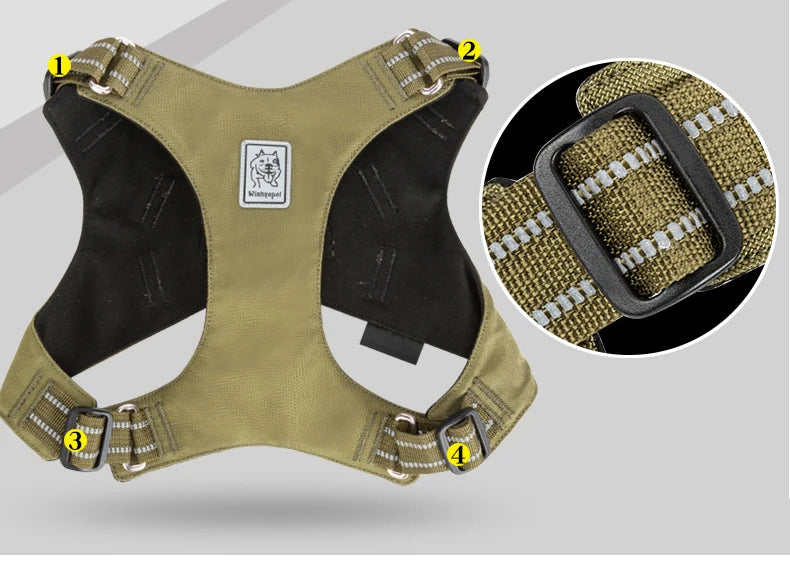 Winhyepet dog harness: lightweight chest strap for comfortable outdoor walking and travel