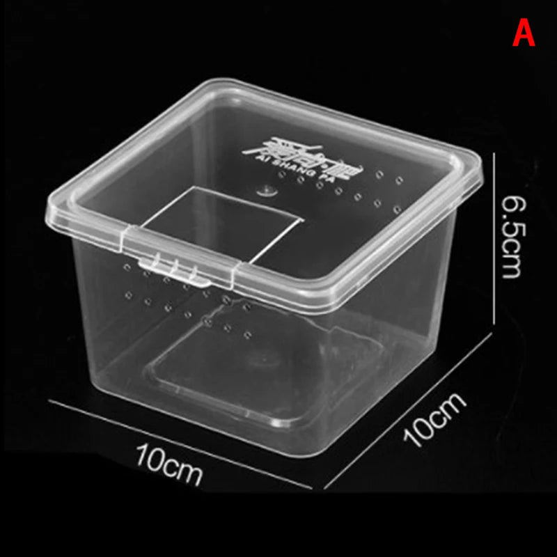 Transparent acrylic reptile tank with lid, ideal for breeding insects, spiders, tortoises, and lizards