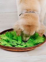 Dog Snuffle Mat - Slow Feeding & Nosework Training Toy for Stress Relief and Foraging Play
