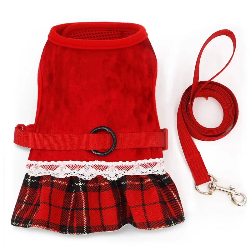 Gold Velvet Rabbit Costume - Festive Pet Outfit with Traction Rope for Formal Events
