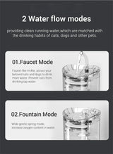 Automatic Pet Water Dispenser - Cat & Dog Drinking Fountain with Filter & Circulation System