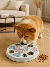 Interactive pet toy set: slow feeder & brain games to entertain and stimulate cats and dogs
