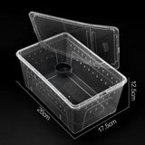 Transparent acrylic reptile tank with lid, ideal for breeding insects, spiders, tortoises, and lizards