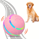 LED pet ball with automatic motion for fun indoor/outdoor play and exercise.