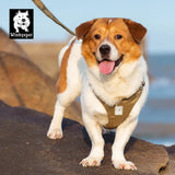 Winhyepet dog harness: lightweight chest strap for comfortable outdoor walking and travel