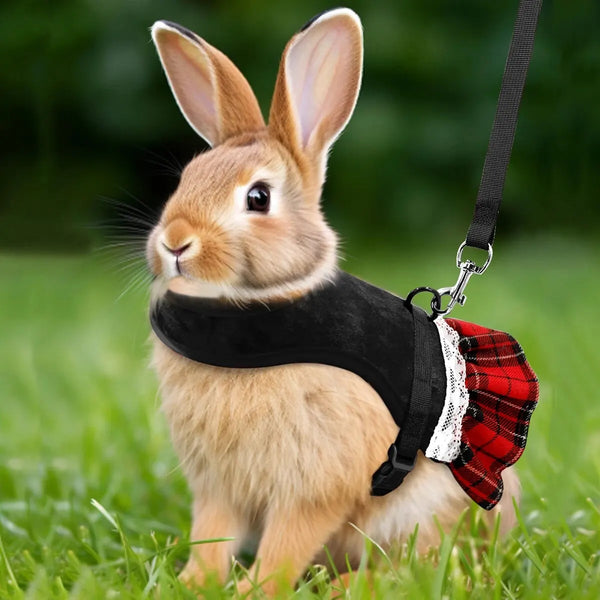Gold Velvet Rabbit Costume - Festive Pet Outfit with Traction Rope for Formal Events