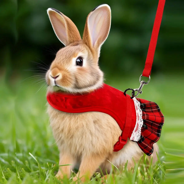 Gold Velvet Rabbit Costume - Festive Pet Outfit with Traction Rope for Formal Events