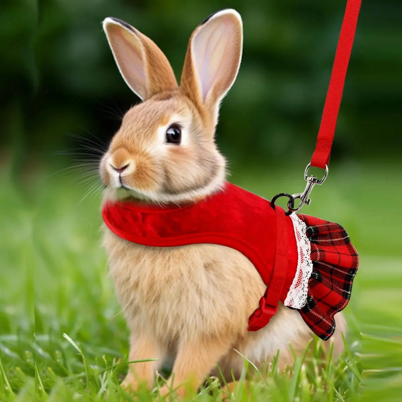Gold Velvet Rabbit Costume - Festive Pet Outfit with Traction Rope for Formal Events