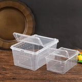 Transparent acrylic reptile tank with lid, ideal for breeding insects, spiders, tortoises, and lizards
