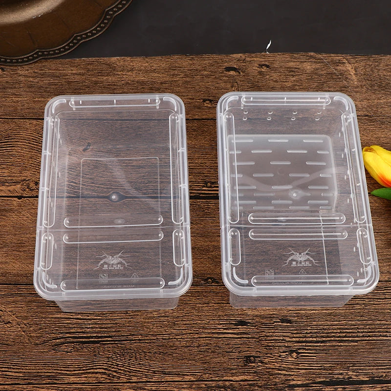 Transparent acrylic reptile tank with lid, ideal for breeding insects, spiders, tortoises, and lizards