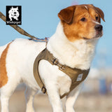 Winhyepet dog harness: lightweight chest strap for comfortable outdoor walking and travel