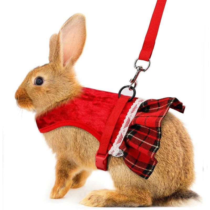 Gold Velvet Rabbit Costume - Festive Pet Outfit with Traction Rope for Formal Events