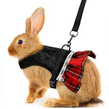 Gold Velvet Rabbit Costume - Festive Pet Outfit with Traction Rope for Formal Events