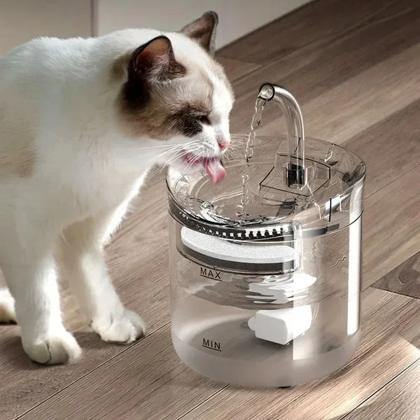 Automatic Pet Water Dispenser - Cat & Dog Drinking Fountain with Filter & Circulation System