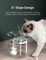 Automatic Pet Water Dispenser - Cat & Dog Drinking Fountain with Filter & Circulation System