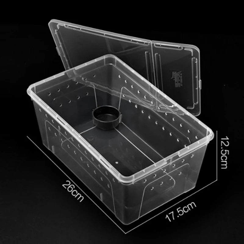 Transparent acrylic reptile tank with lid, ideal for breeding insects, spiders, tortoises, and lizards