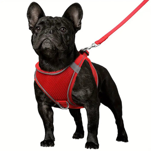 Reflective Step-In Dog Harness and Leash Set - Soft Padded Nylon Leash