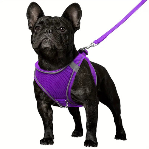 Reflective Step-In Dog Harness and Leash Set - Soft Padded Nylon Leash