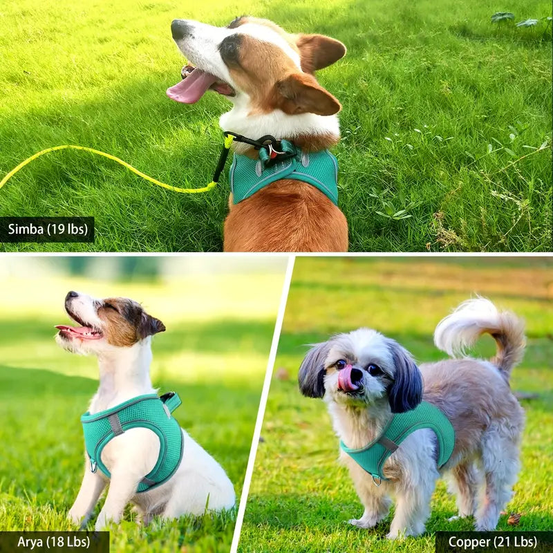 Reflective Step-In Dog Harness and Leash Set - Soft Padded Nylon Leash
